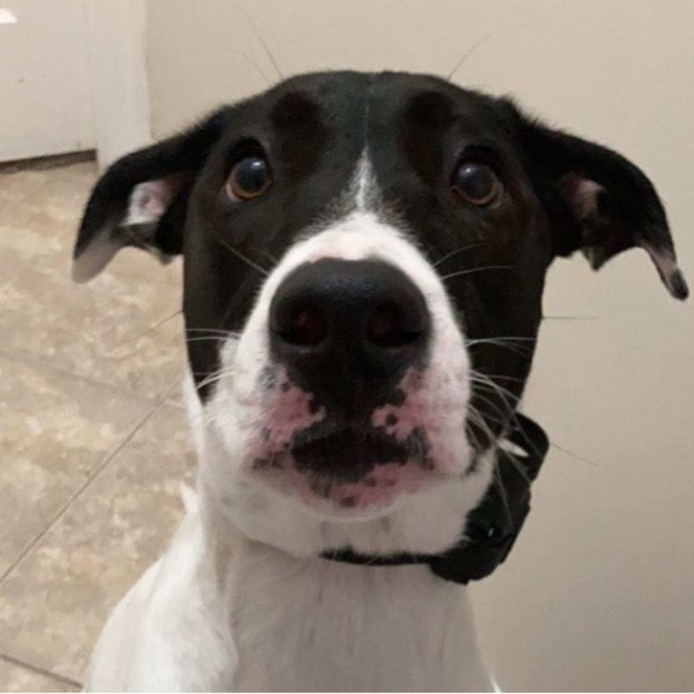 Meet your Posher, Makayla